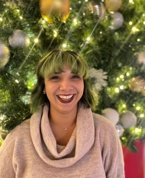 Holiday light install