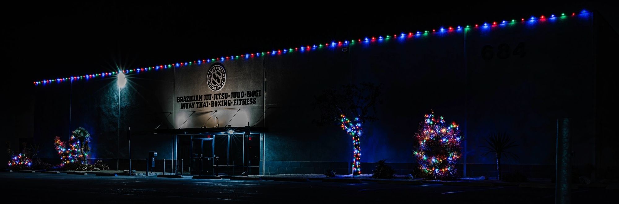 Holiday light install